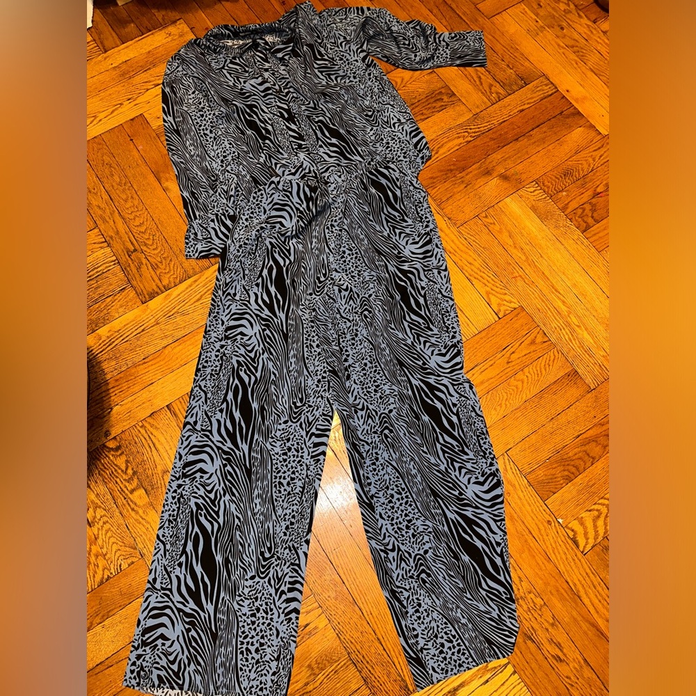 Blue Zebra pants outfit
